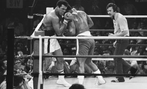 ‘I’m giving up’: Cate Blanchett says she is retiring from acting